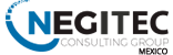 Negitec Consulting Group – México